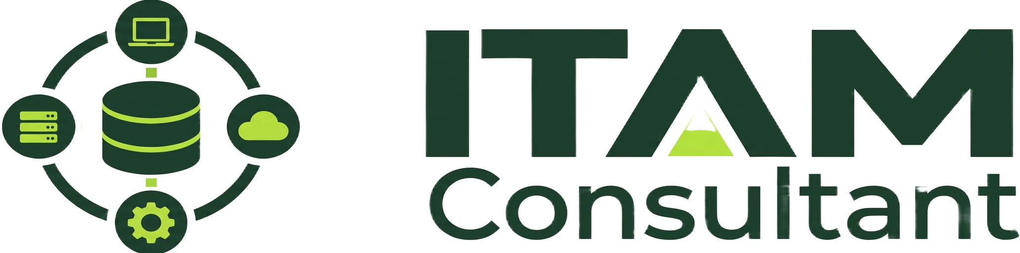 ITAM Consultant